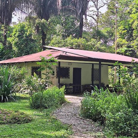 Four Monkeys Eco Lodge Jungle & Beach - The House Cabo Matapalo エクステリア 写真