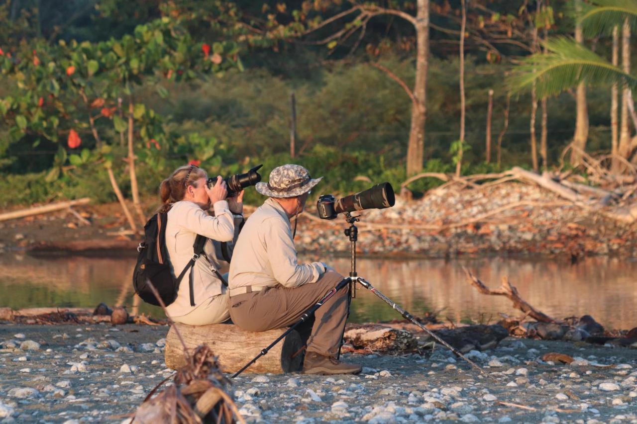 Four Monkeys Eco Lodge Jungle & Beach - The House Cabo Matapalo エクステリア 写真