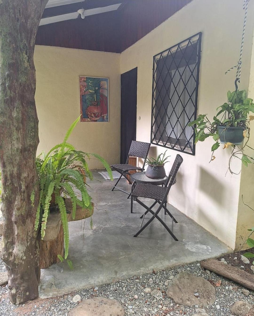 Four Monkeys Eco Lodge Jungle & Beach - The House Cabo Matapalo エクステリア 写真
