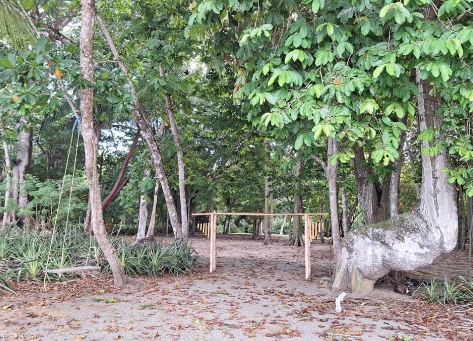 Four Monkeys Eco Lodge Jungle & Beach - The House Cabo Matapalo エクステリア 写真