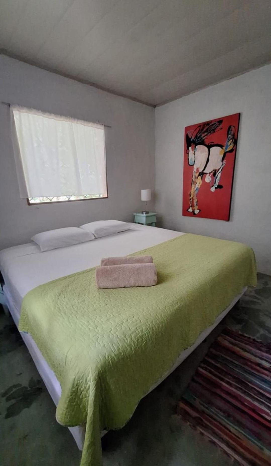 Four Monkeys Eco Lodge Jungle & Beach - The House Cabo Matapalo エクステリア 写真