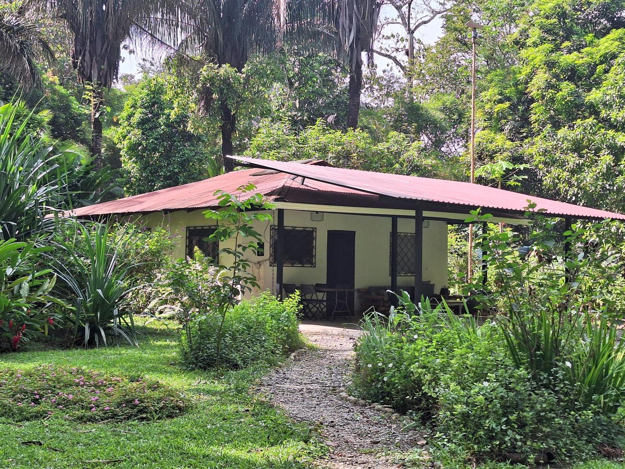 Four Monkeys Eco Lodge Jungle & Beach - The House Cabo Matapalo エクステリア 写真